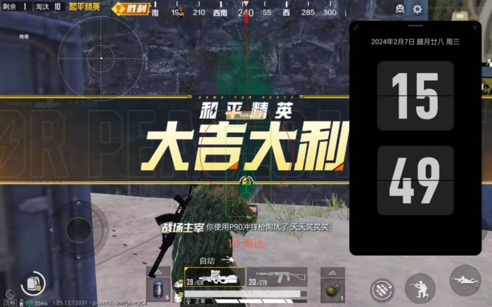 和平精英透视挂永久免费 - 多平台支持防封版本